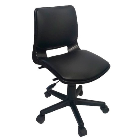 Bold Secretarial Negro