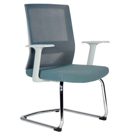Vision Gray Visita